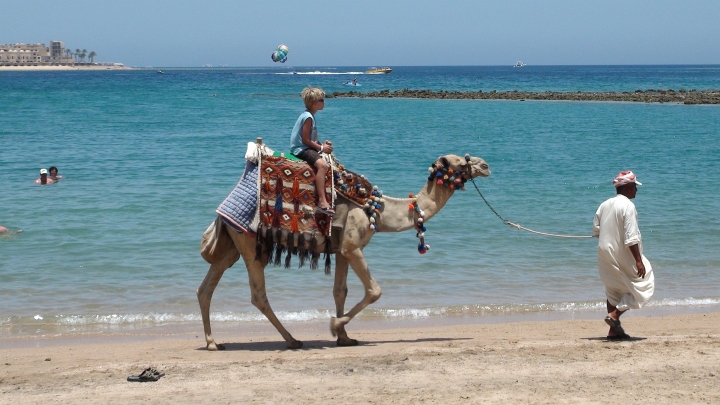 Vakantie Egypte 2010-166.jpg